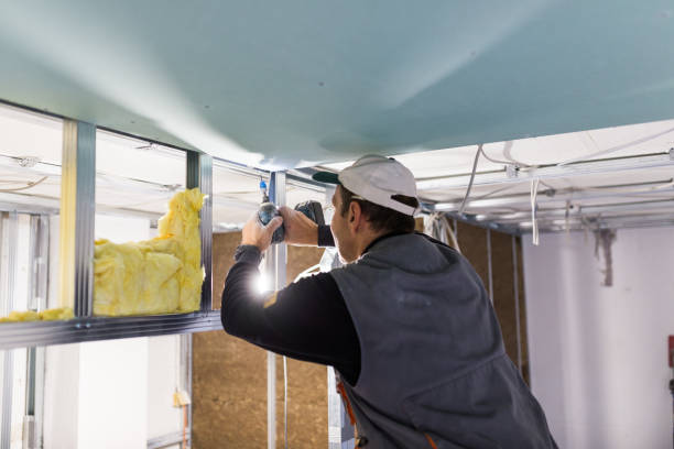 Best Basement Insulation  in Swift Trail Junction, AZ